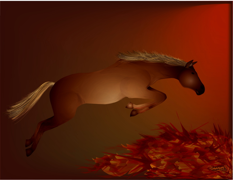 Image #2 of 12: 